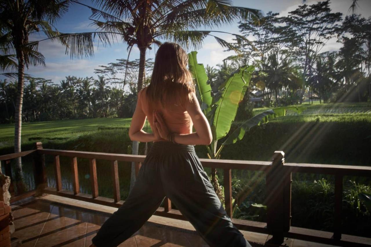 Wisma tamu Kishi-kishi Ubud (Bali)