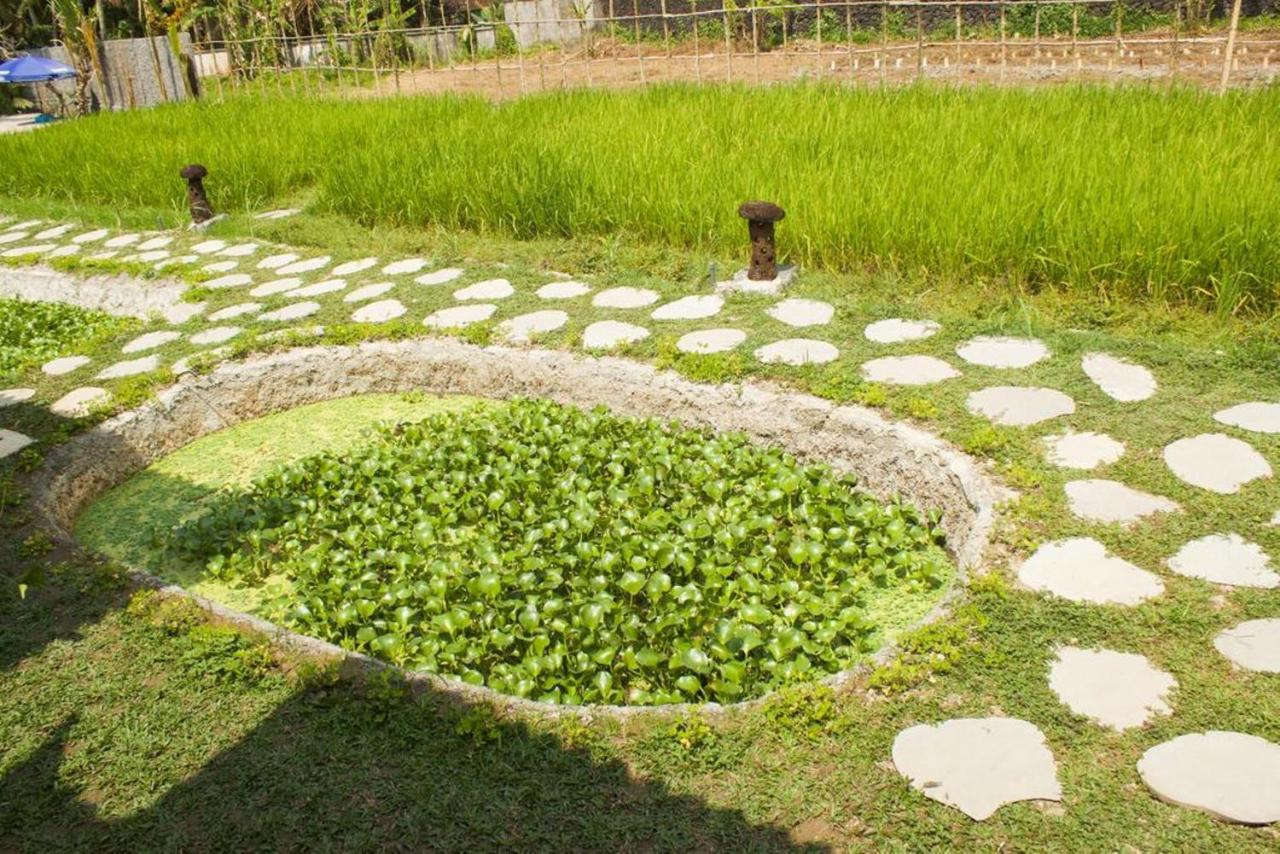 Kishi-kishi Wisma tamu